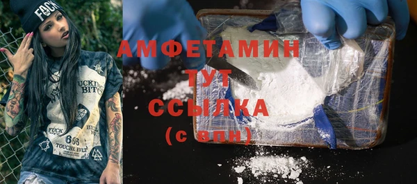 mix Инта