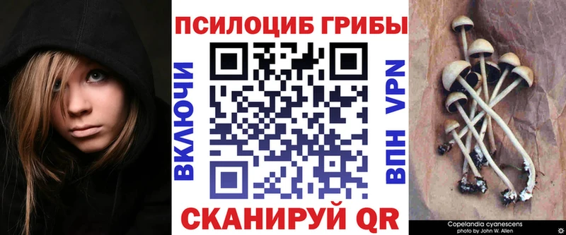 Псилоцибиновые грибы мицелий  Купить закладки  Лениногорск 